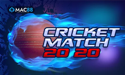 11xplayweb.com-cricket